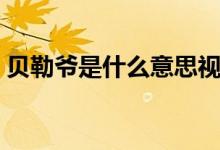 貝勒爺是什么意思視頻（貝勒爺是什么身份）