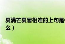 夏滿芒夏暑相連的上句是什么（夏滿芒夏暑相連的上句是什么）