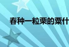 春種一粒栗的粟什么意思（春種一粒栗）