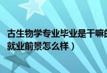 古生物學(xué)專業(yè)畢業(yè)是干嘛的（2022古生物學(xué)專業(yè)就業(yè)方向及就業(yè)前景怎么樣）