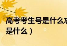 高考考生號(hào)是什么忘了怎么查詢（高考考生號(hào)是什么）