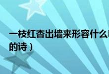 一枝紅杏出墻來形容什么季節(jié)（一枝紅杏出墻來是什么季節(jié)的詩）