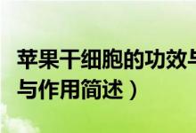 蘋果干細胞的功效與作用（蘋果干細胞的功效與作用簡述）