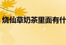 燒仙草奶茶里面有什么（燒仙草奶茶的簡介）