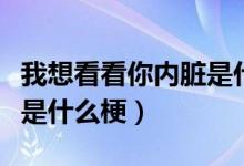 我想看看你內(nèi)臟是什么梗（哥哥在嗎看看內(nèi)臟是什么梗）