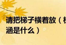 請把梯子橫著放（梯子不用時請橫著放作文內(nèi)涵是什么）