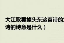 大江歌罷掉頭東這首詩的意思是什么（大江歌罷掉頭東這首詩的詩意是什么）
