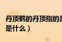 丹頂鶴的丹頂指的是什么（丹頂鶴的丹頂指的是什么）