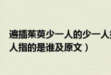 遍插茱萸少一人的少一人指的是什么（遍插茱萸少一人少一人指的是誰及原文）
