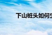下山樁頭如何生根（有什么技巧）