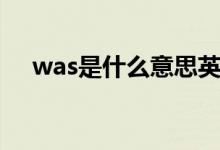 was是什么意思英語（was是什么意思）