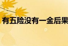 有五險沒有一金后果（有五險沒有一金后果）