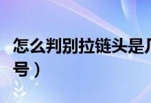 怎么判別拉鏈頭是幾號（怎樣判別拉鏈頭是幾號）