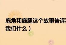 鹿角和鹿腿這個(gè)故事告訴我什么（鹿角和鹿腿這個(gè)故事告訴我們什么）