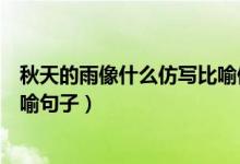 秋天的雨像什么仿寫(xiě)比喻修辭手法（秋天的雨像什么仿寫(xiě)比喻句子）
