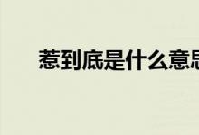 惹到底是什么意思(惹到底是什么梗)