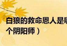 白狼的救命恩人是哪個(gè)（白狼的救命恩人是哪個(gè)陰陽(yáng)師）