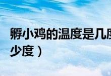孵小雞的溫度是幾度合適（孵小雞的溫度是多少度）
