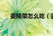 委陵菜怎么吃（委陵菜怎么吃比較好）