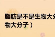 脂肪是不是生物大分子脂質呢（脂肪是不是生物大分子）