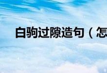 白駒過隙造句（怎么用白駒過隙造句呢）