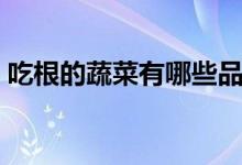 吃根的蔬菜有哪些品種（吃根的蔬菜有哪些）