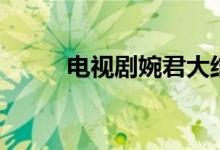 電視劇婉君大結(jié)局（講述了什么）