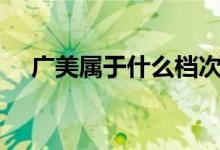 廣美屬于什么檔次（贛m屬于什么牌照）