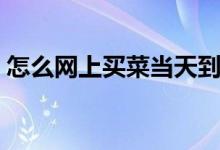 怎么網(wǎng)上買菜當(dāng)天到（如何網(wǎng)上買菜當(dāng)天到）