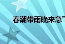 春潮帶雨晚來急下一句（原文及翻譯）