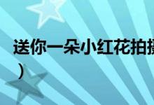 送你一朵小紅花拍攝地（送你一朵小紅花簡介）