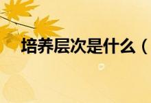 培養(yǎng)層次是什么（培養(yǎng)層次是什么意思）