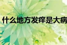 什么地方發(fā)癢是大病的前兆（什么地什么天）