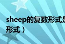 sheep的復(fù)數(shù)形式是什么意思（sheep的復(fù)數(shù)形式）