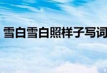雪白雪白照樣子寫詞語(yǔ)（類似的詞語(yǔ)有哪些）