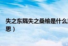 失之東隅失之桑榆是什么意思（失之桑榆得之東隅是什么意思）