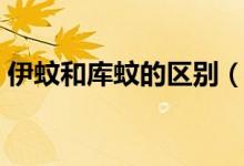 伊蚊和庫蚊的區(qū)別（伊蚊和庫蚊的區(qū)別介紹）