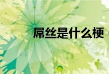 屌絲是什么梗（屌絲是什么意思）