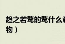 趨之若鶩的鶩什么意思（趨之若鶩的鶩什么動(dòng)物）