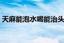 天麻能泡水喝能治頭暈嗎（天麻能泡酒喝嗎）