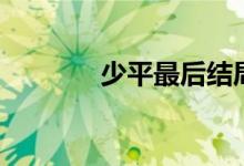 少平最后結(jié)局（少平的結(jié)局）