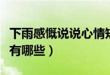下雨感慨說說心情短句（表達雨天心情的句子有哪些）