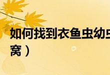如何找到衣魚(yú)蟲(chóng)幼蟲(chóng)的窩（如何找到衣魚(yú)蟲(chóng)的窩）