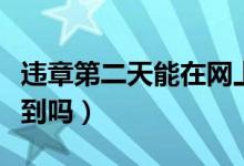 違章第二天能在網(wǎng)上查到嗎（違章第二天能查到嗎）