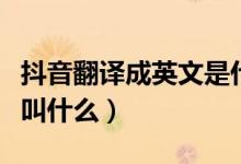抖音翻譯成英文是什么意思（抖音翻譯成英文叫什么）