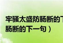 牢騷太盛防腸斷的下一句詩是啥(牢騷太盛防腸斷的下一句)