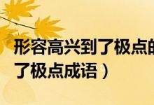 形容高興到了極點(diǎn)的成語是哪個(gè)（形容高興到了極點(diǎn)成語）