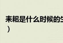 耒耜是什么時候的生產(chǎn)工具（耒耜是什么工具）