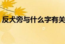 反犬旁與什么字有關(guān)（反犬旁與什么有關(guān)系）