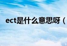 ect是什么意思呀（ect是什么意思車(chē)上的）